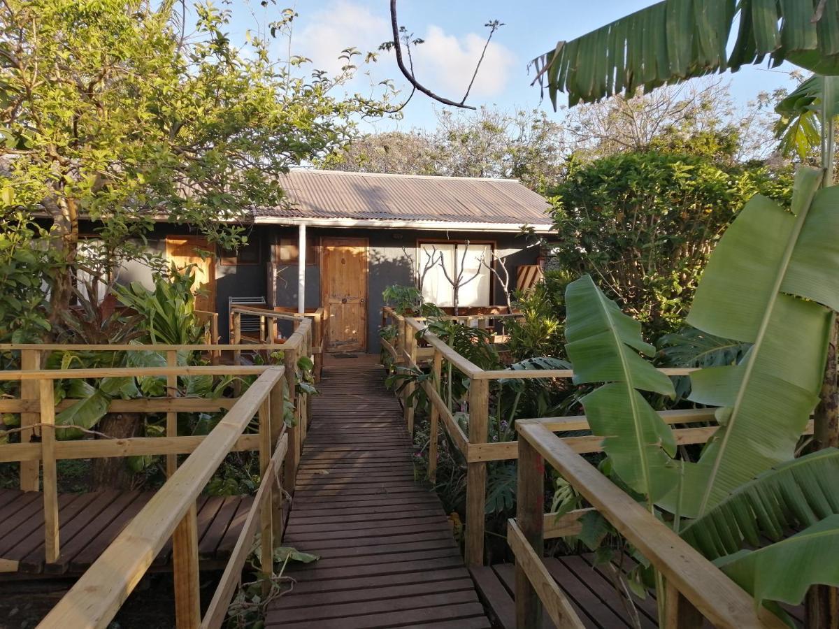 Tuava Lodge Hanga Roa Exterior foto